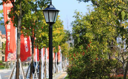 装朗县庭院灯避坑指南：庭院路灯防雷接地要点
